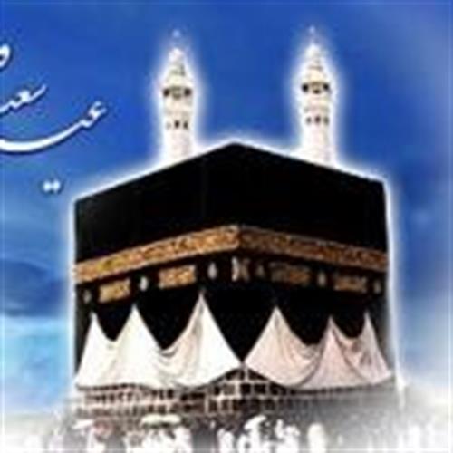 sayd ali&nbsp;hashme